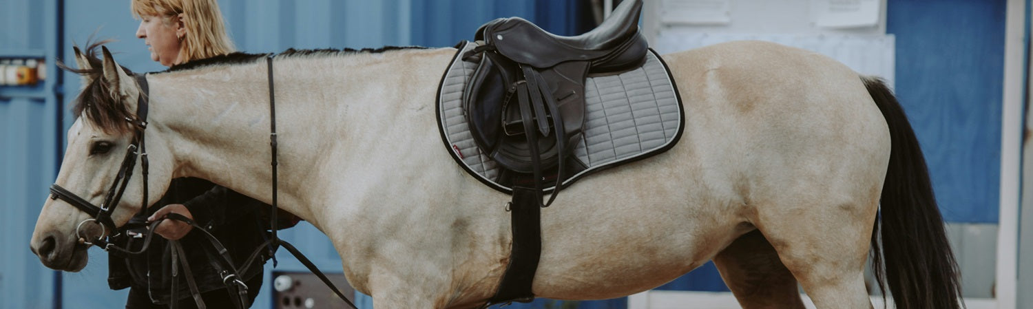a horse with a measured saddle fitted