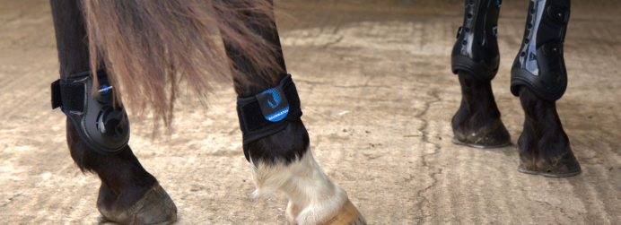 Magnetic boots for windgalls outlet