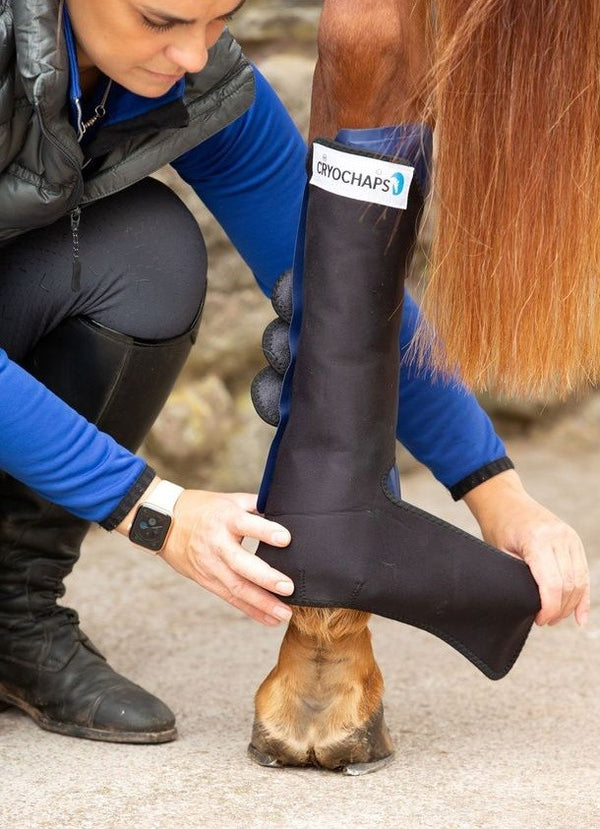 cryochaps cold therapy boots for horses