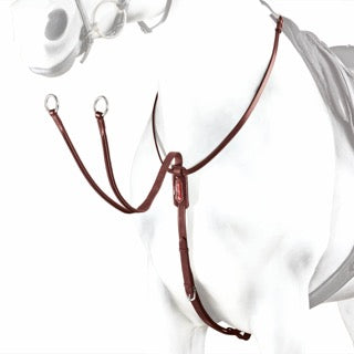 Equipe bridle, brown leather, English style, horse headgear, isolated on white.
