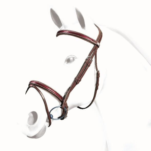 Brown Equipe bridle on white horse, sleek design, red piping detail.