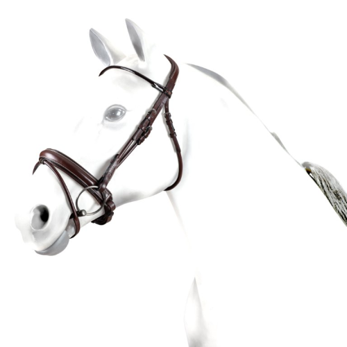 Brown Equipe bridle on white horse mannequin, isolated background.