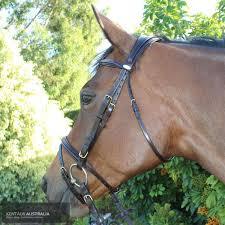 Kentaur 'Comfort Poll' Bridle-Southern Sport Horses-The Equestrian
