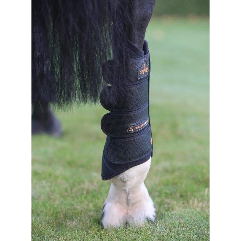 Kentucky Air Tech Eventing Hind Boots-Dapple EQ-The Equestrian
