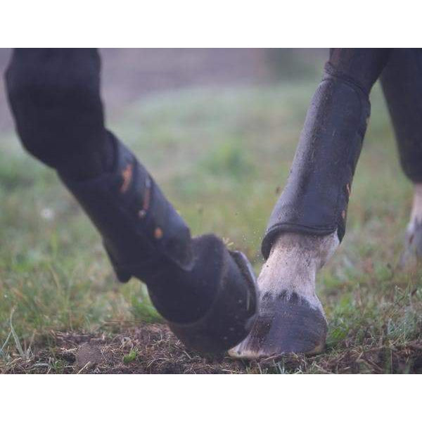 Kentucky Air Tech Eventing Hind Boots-Dapple EQ-The Equestrian