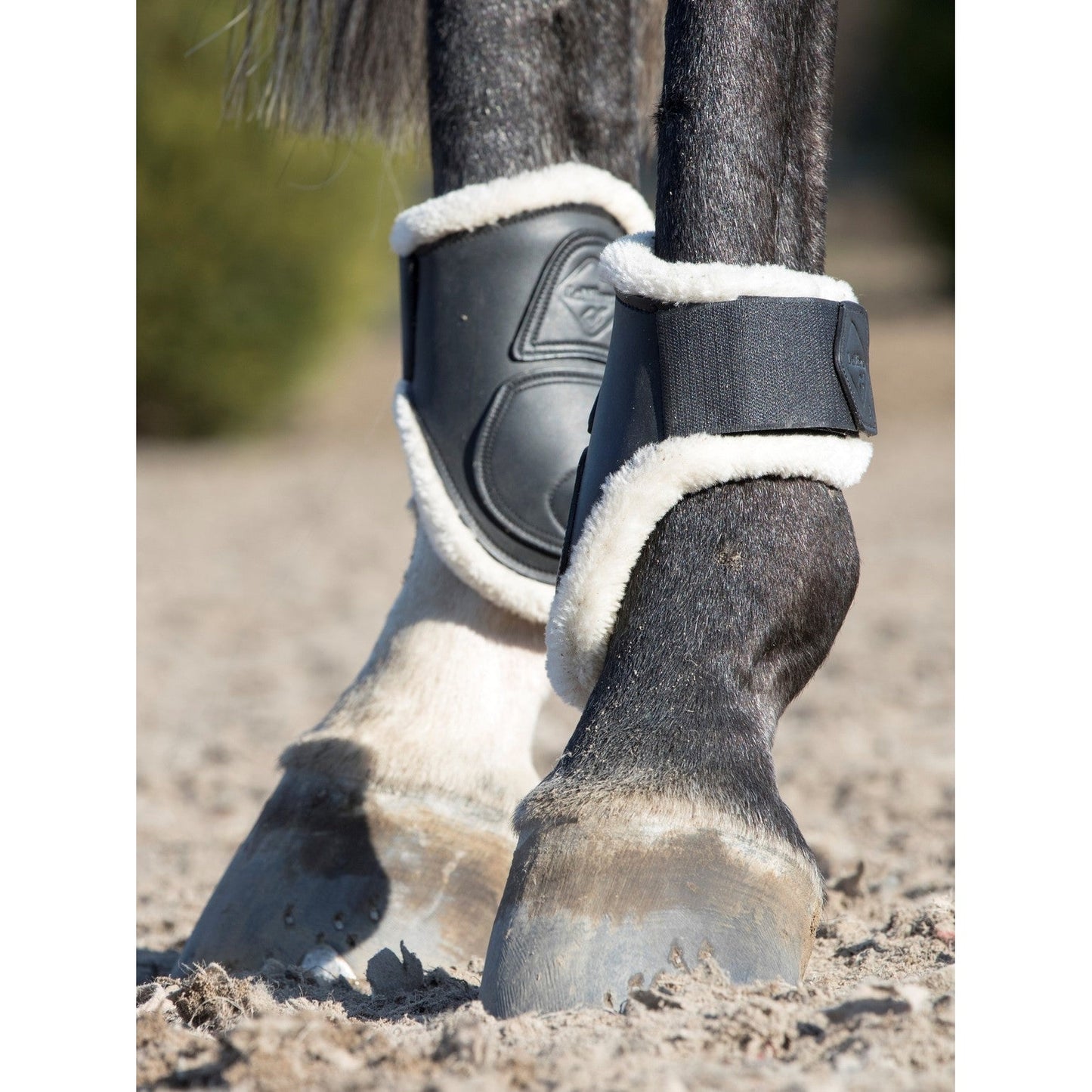 LeMieux Capella Comfort Jumping Boots-Southern Sport Horses-The Equestrian