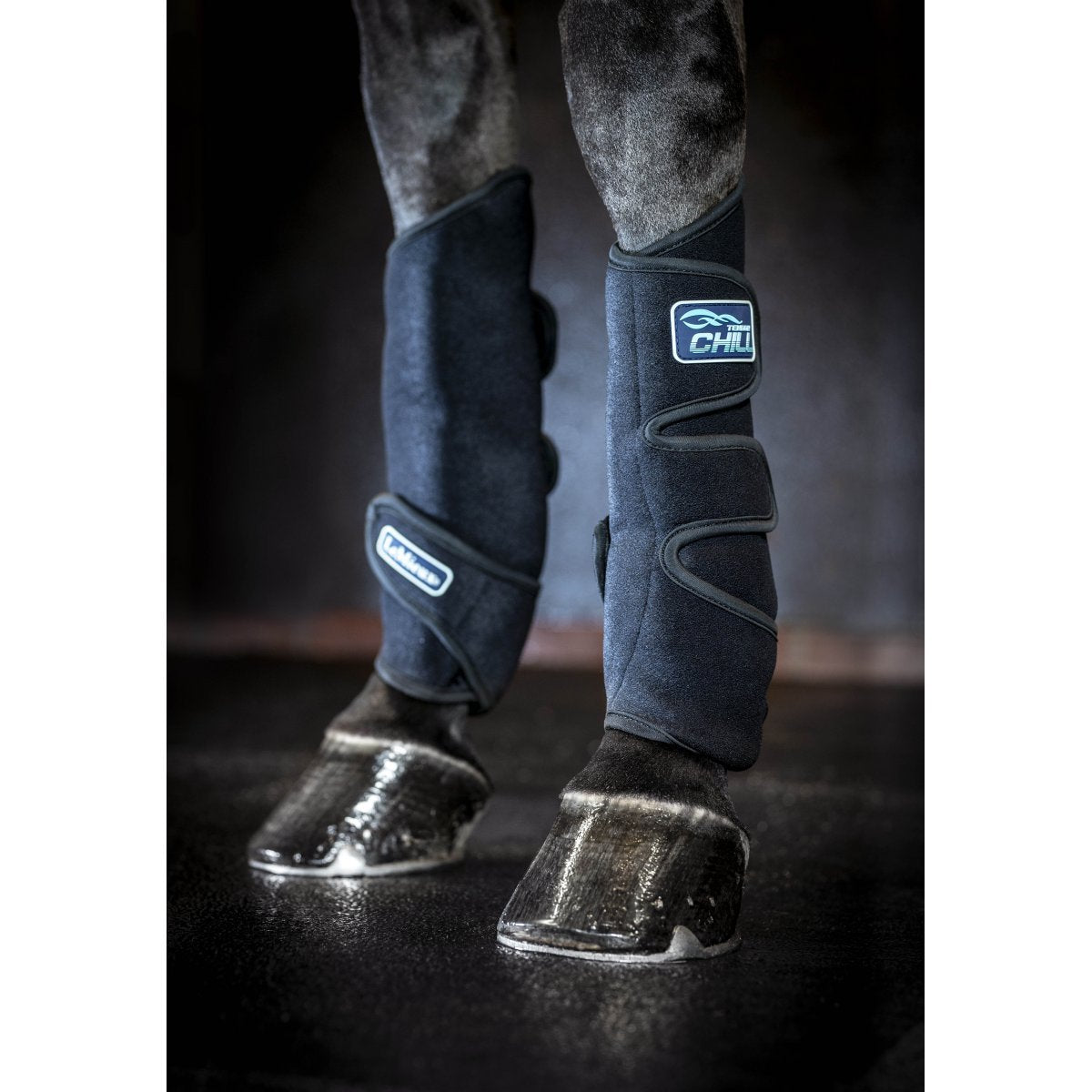 LeMieux Tendon Chill Boots-Southern Sport Horses-The Equestrian