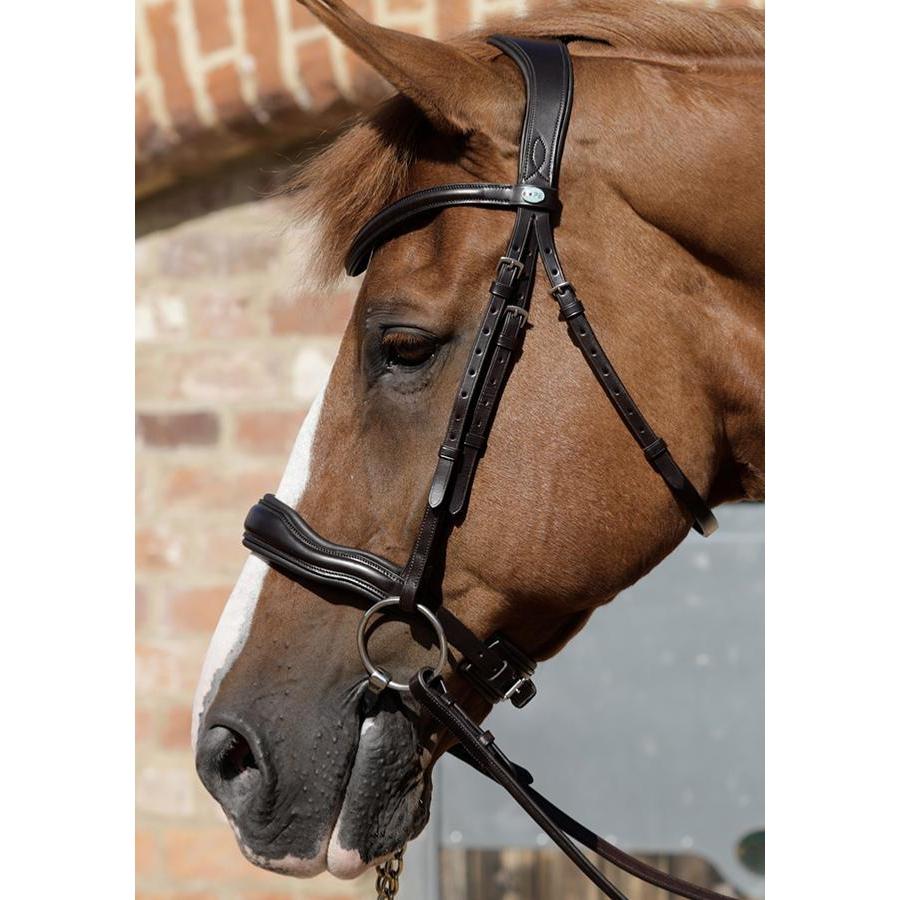 Premier Equine Verdura Anatomic Snaffle Bridle-Southern Sport Horses-The Equestrian