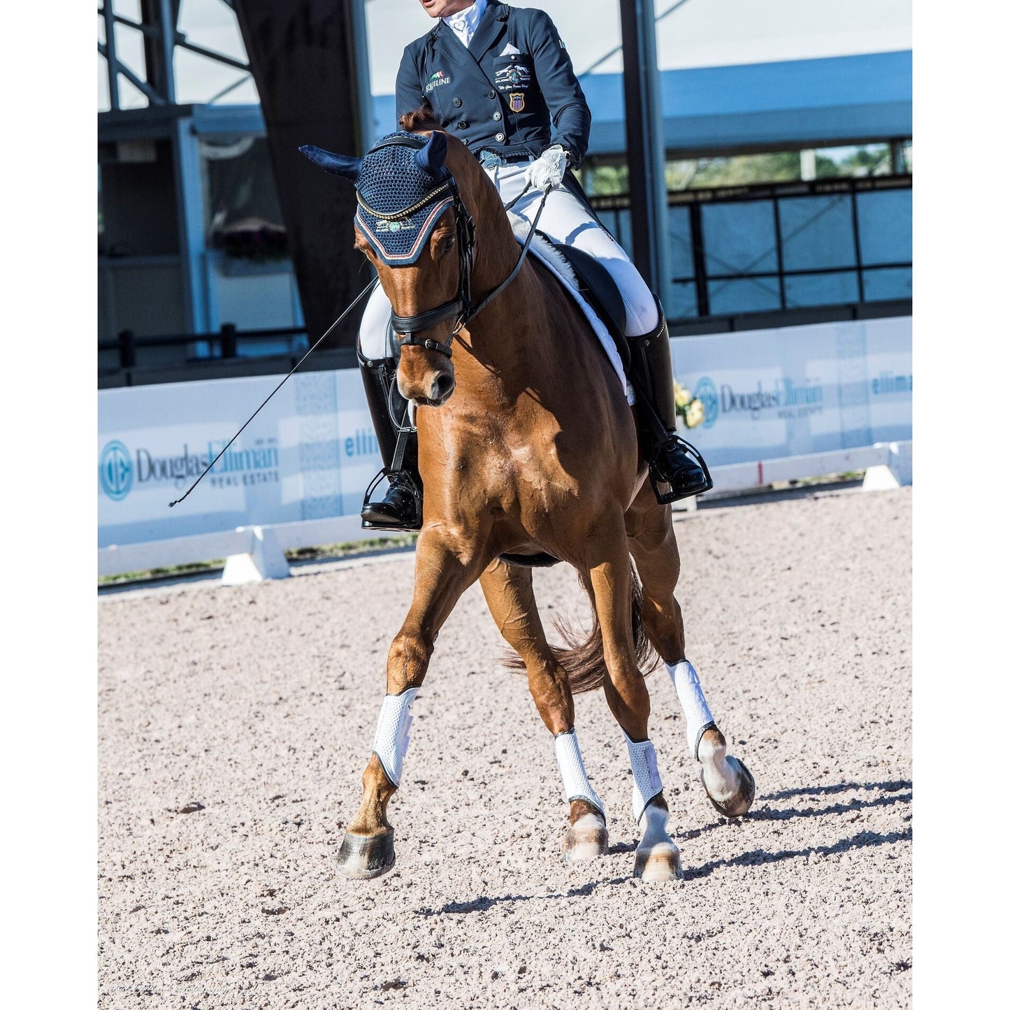 Equestrian in Thinline Global attire riding a brown horse in competition.