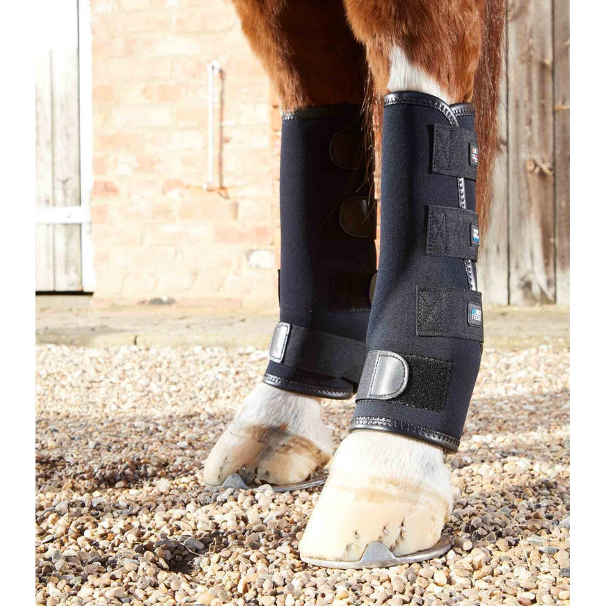 Shop Premier Equine Turnout Boots - High-Quality Protection for Your Horse's Legs-Southern Sport Horses-The Equestrian