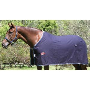 Brown horse wearing a navy Weatherbeeta horse show rug outdoors.