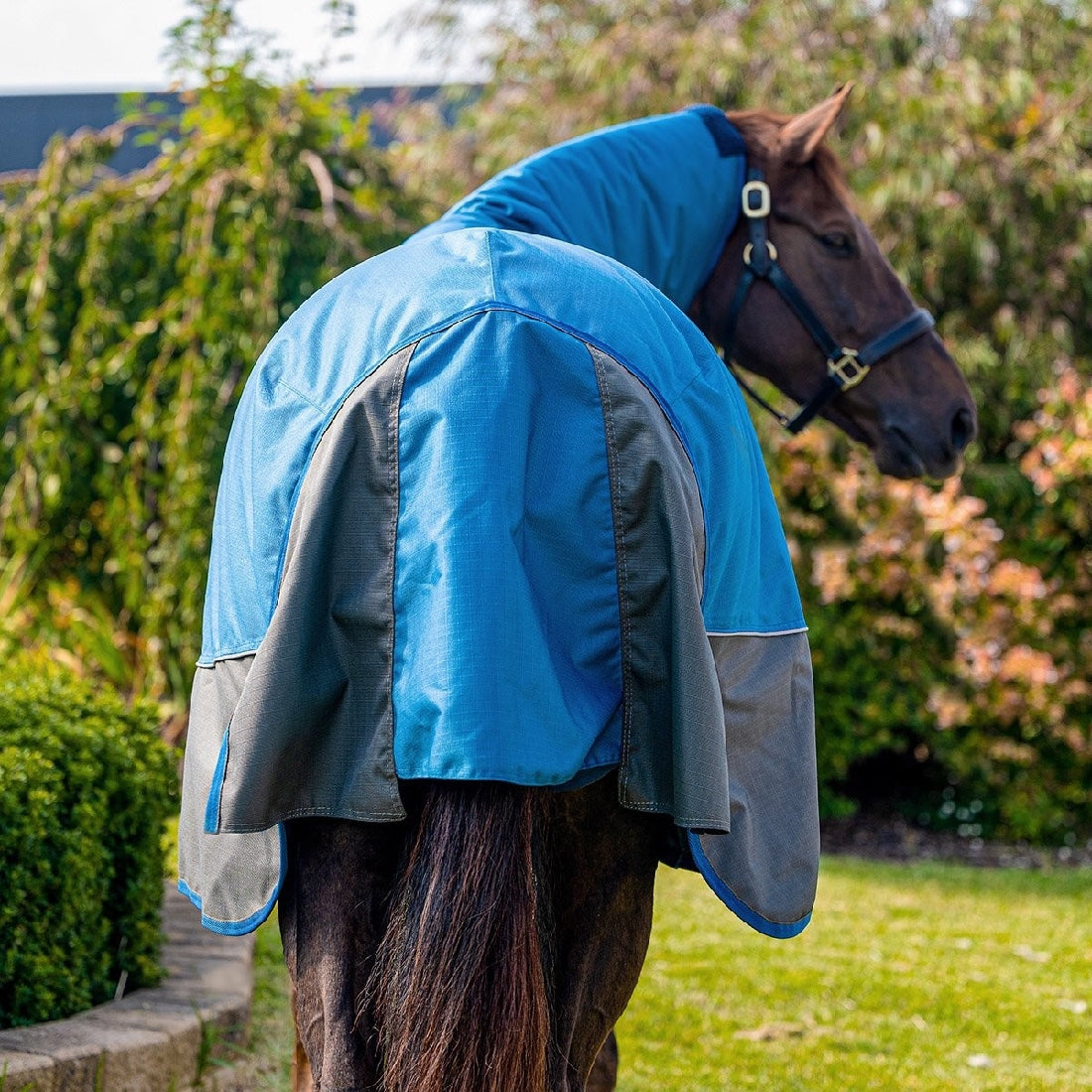 Horse wearing a blue and grey Eurohunter horse rug outside.