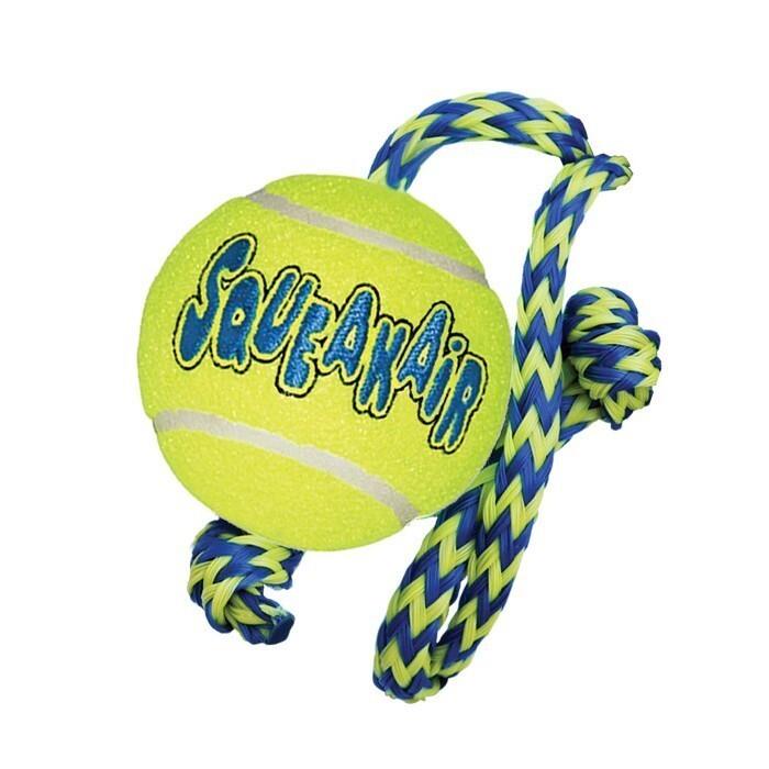 Kong sales fetch ball