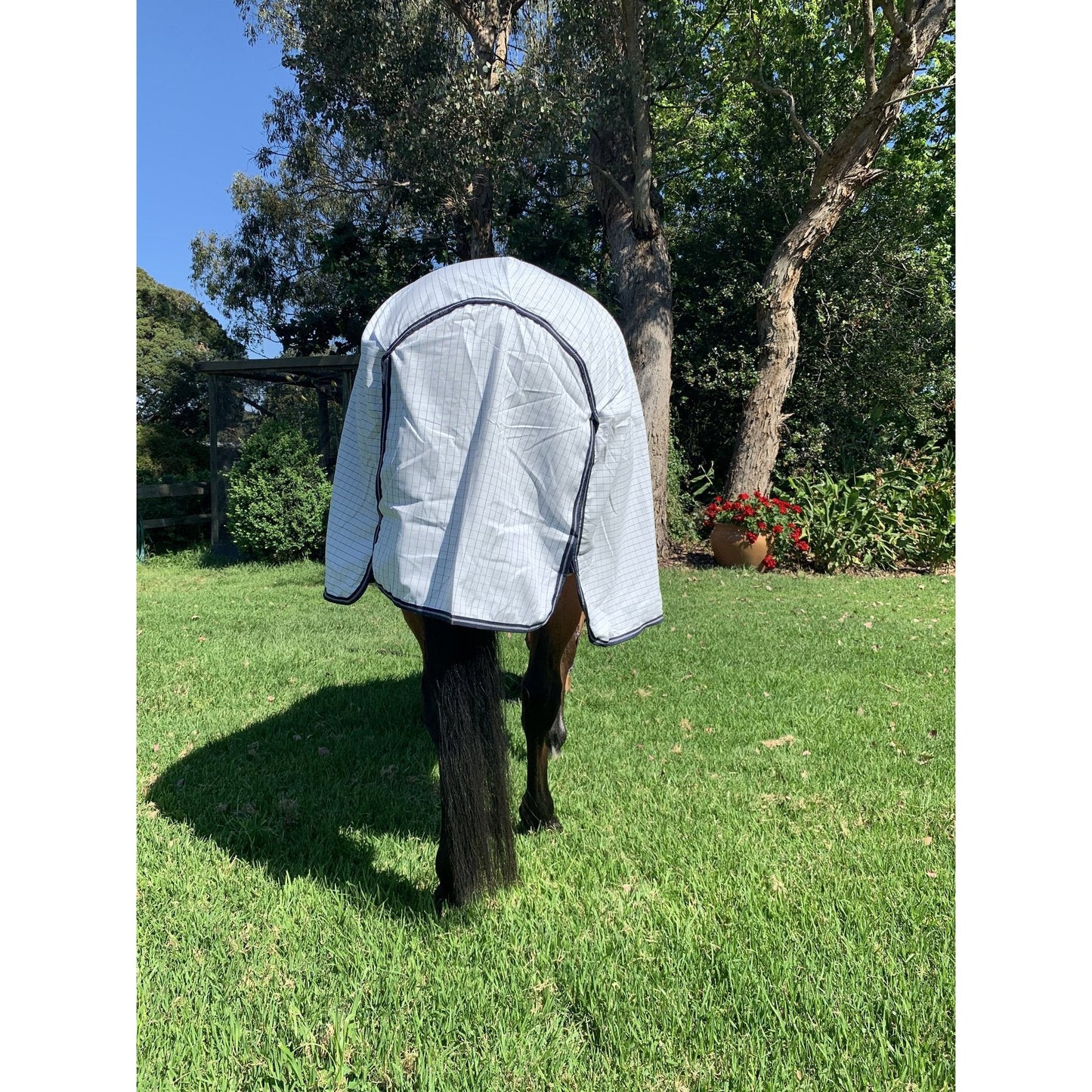 Classic Front Rug - Amigo Allrounder Helix in Various Sizes and Colors-Little Equine Co-The Equestrian