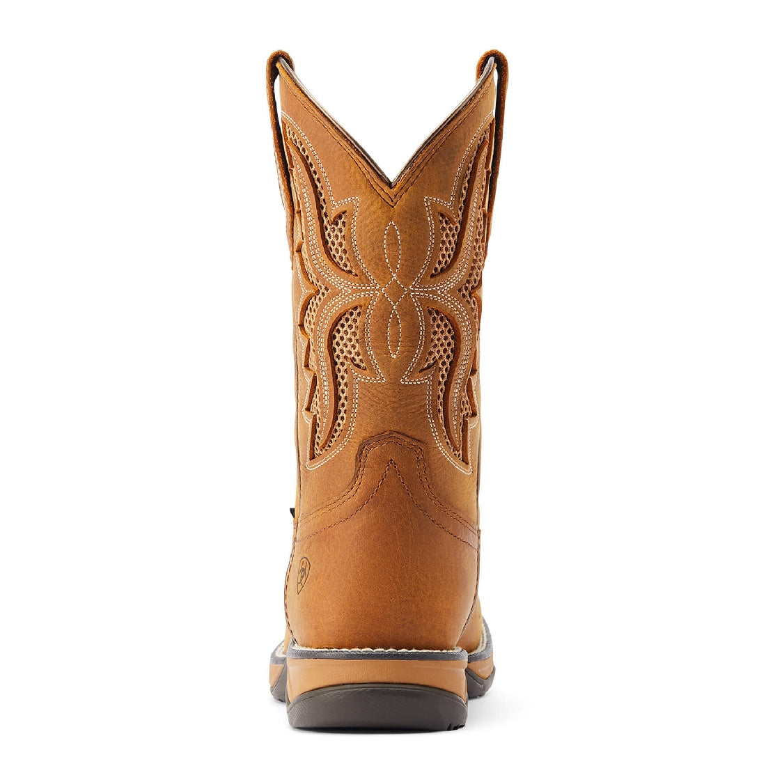 Western Boots Ariat Anthem Venttek H20 Toasted Wheat Ladies-Ascot Saddlery-The Equestrian