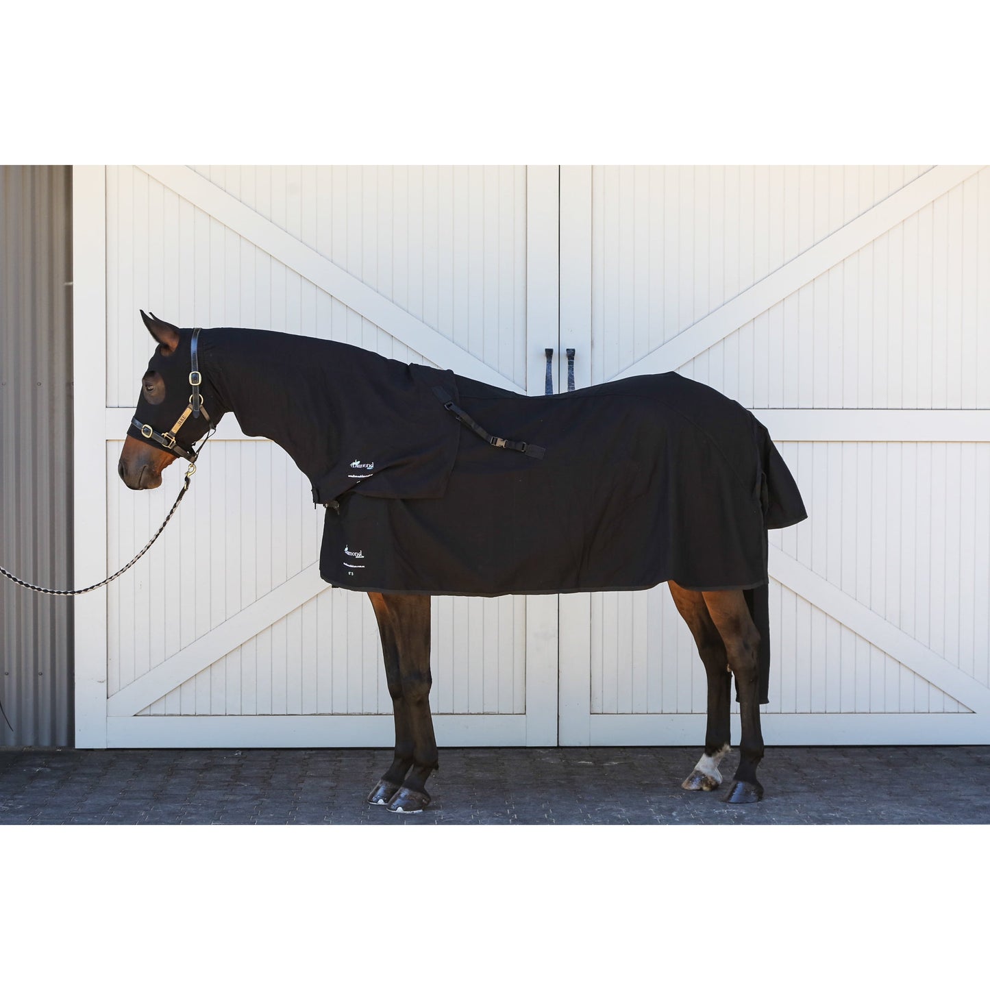 Summer Stretch Zip Hoods - Black-Diamond Deluxe Horsewear-The Equestrian