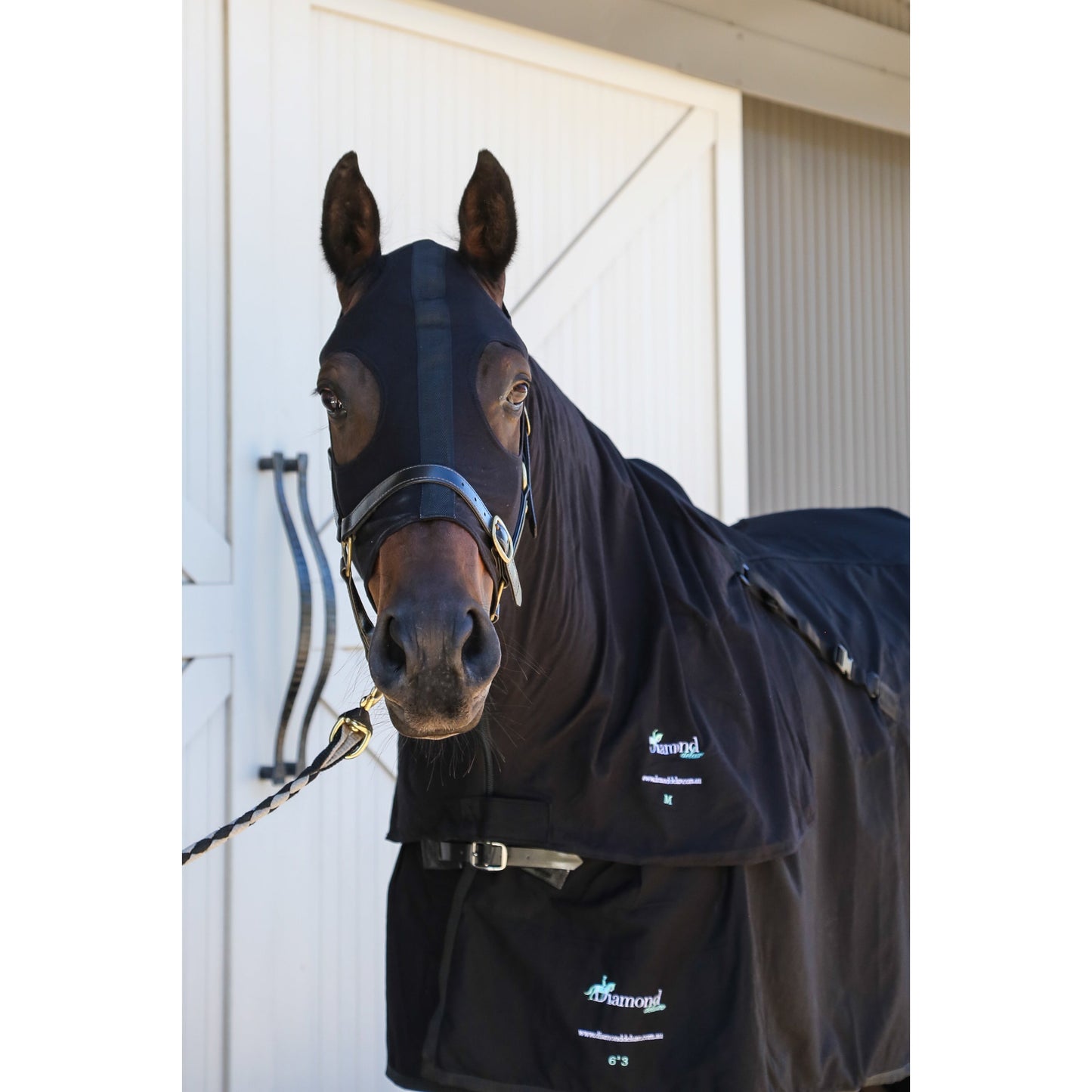 Summer Stretch Zip Hoods - Black-Diamond Deluxe Horsewear-The Equestrian