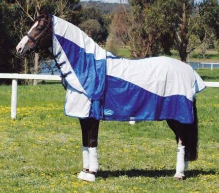 Horse in a field wearing a blue and white Eurohunter horse rug.