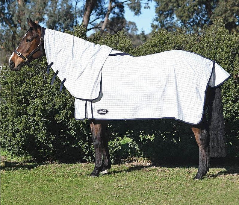 Bay horse standing outside wearing a white Eurohunter horse rug.
