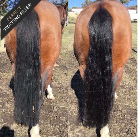 Hairy Pony 2 In 1 Detangle & Shine Spray Original 500ml-Ascot Saddlery-The Equestrian