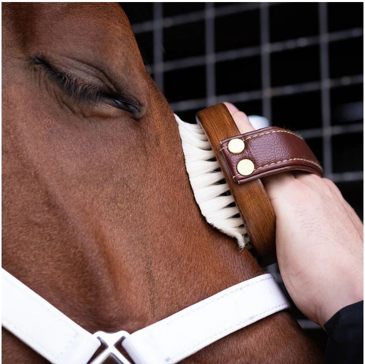 Hairy Pony Brush Face-Ascot Saddlery-The Equestrian