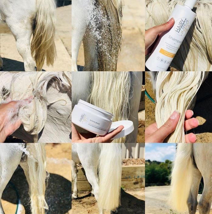 Hairy Pony Hair Repair Tub 250ml-Ascot Saddlery-The Equestrian