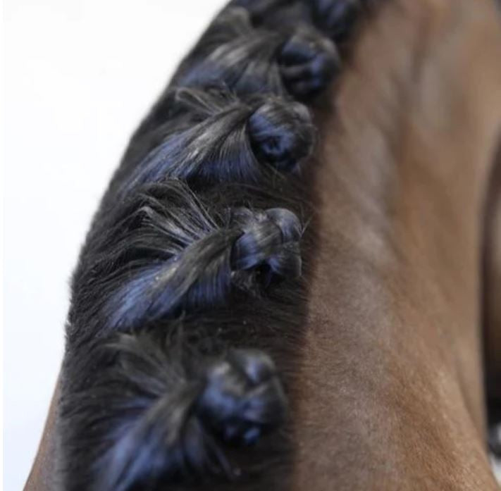 Hairy Pony Mane Sectioning Comb-Ascot Saddlery-The Equestrian