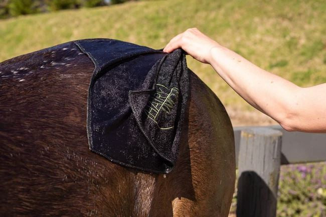 Hairy Pony Microfibre Towelette-Ascot Saddlery-The Equestrian