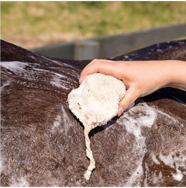 Hairy Pony Shampoo Bar Original-Ascot Saddlery-The Equestrian