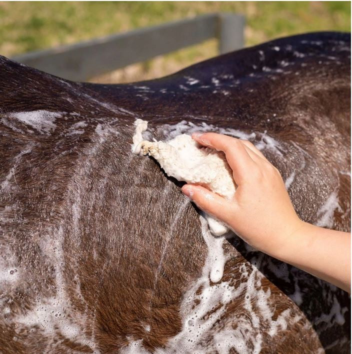 Hairy Pony Shampoo Bar Original-Ascot Saddlery-The Equestrian
