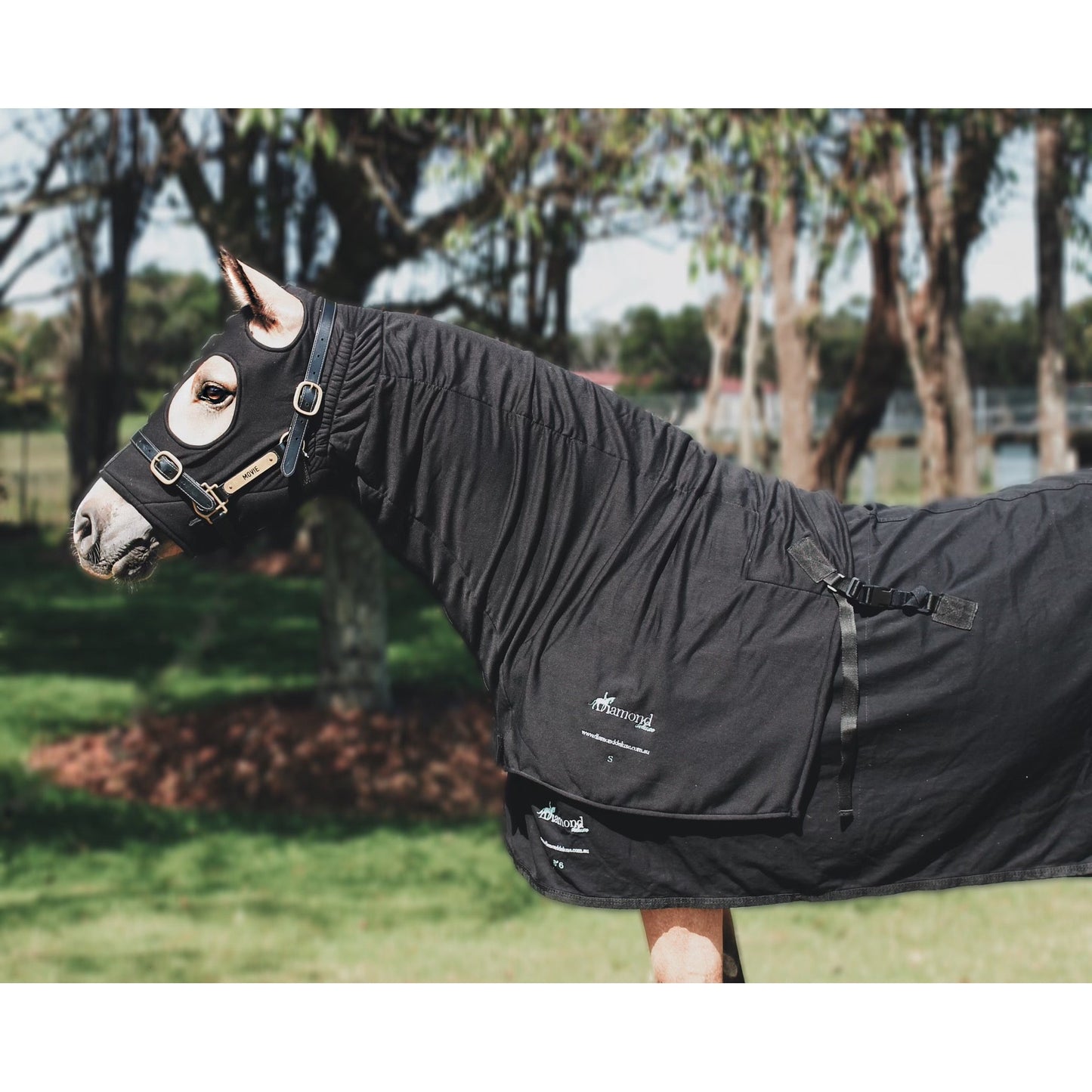 Fleece Winter Stretch Zip Hoods-Diamond Deluxe Horsewear-The Equestrian