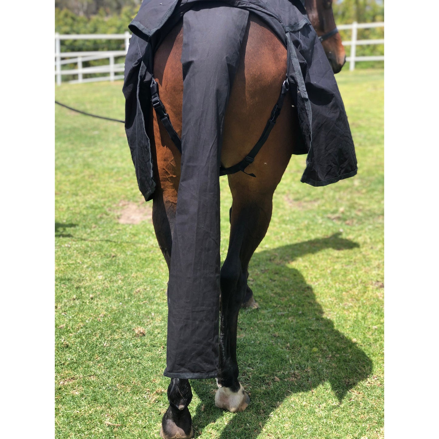 Cotton Drill Tailbags-Diamond Deluxe Horsewear-The Equestrian