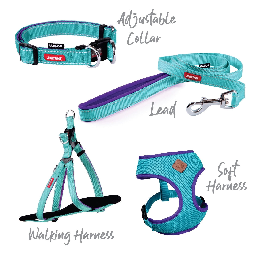 Kazoo Dog Collar Active Adjustable Aqua & Purple-Ascot Saddlery-The Equestrian
