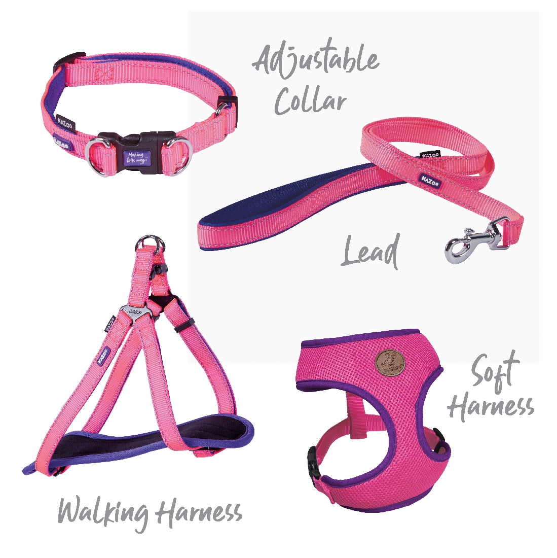 Kazoo Dog Collar Active Adjustable Bloom Burst-Ascot Saddlery-The Equestrian