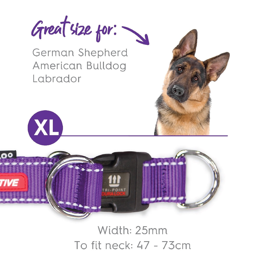 Kazoo Dog Collar Active Adjustable Purple & Lime-Ascot Saddlery-The Equestrian