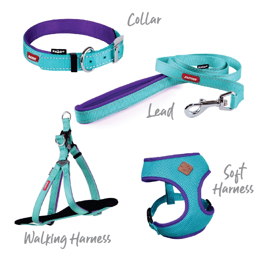 Kazoo Dog Collar Active Aqua & Purple-Ascot Saddlery-The Equestrian