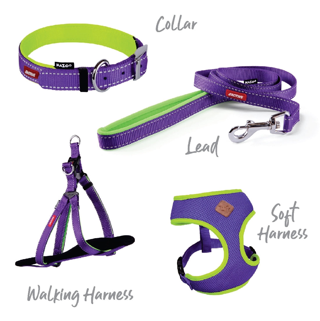 Kazoo Dog Collar Active Purple & Lime-Ascot Saddlery-The Equestrian
