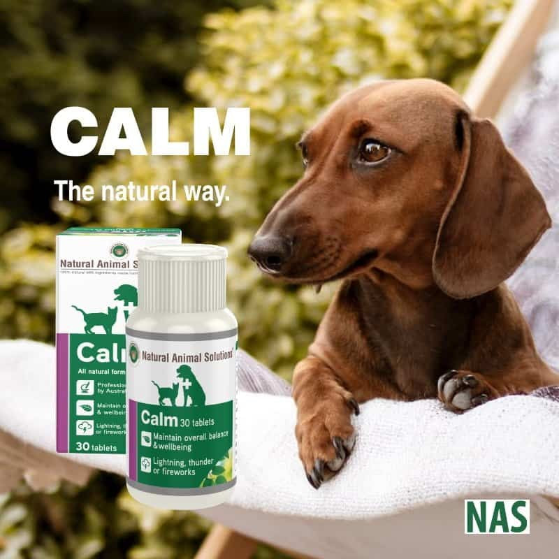 Natural Animal Solutions Calm 30 Tablets-Ascot Saddlery-The Equestrian