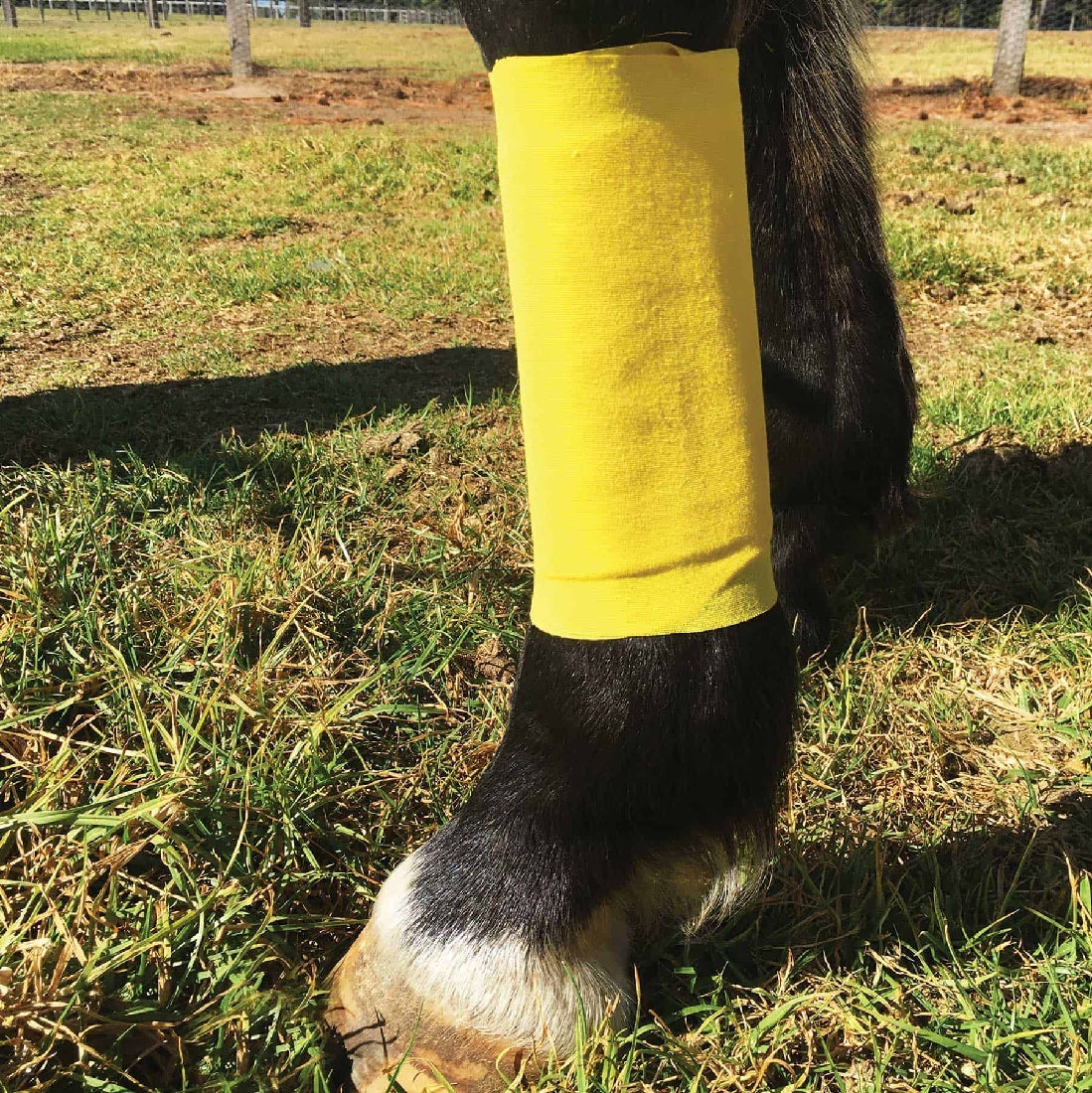 Bandage Wrap Essential Ranvet Medium-Ascot Saddlery-The Equestrian