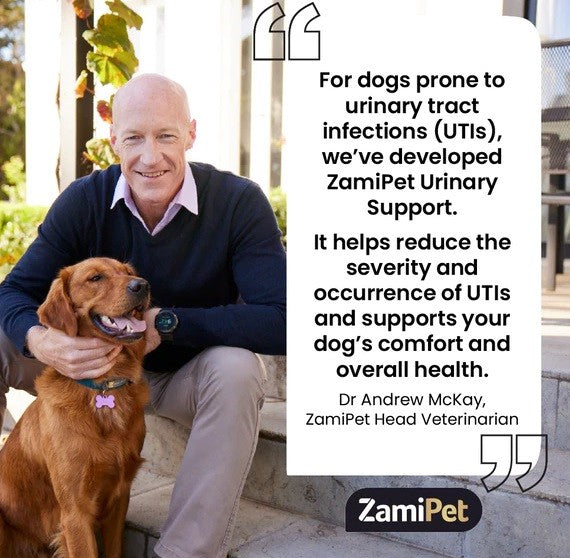 Alt: Man with dog promoting Zamipet Urinary Support for UTI health.