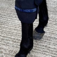 Cryochaps Absolute Ice Wrap Pair Pastern/Hocks/Knees-Top Brands-The Equestrian