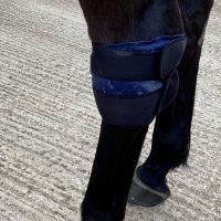 Cryochaps Absolute Ice Wrap Pair Pastern/Hocks/Knees-Top Brands-The Equestrian