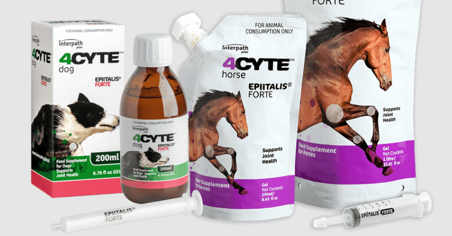 Canine & Equine Joint Health - 4CYTE Epitalis Review - 4CYTE