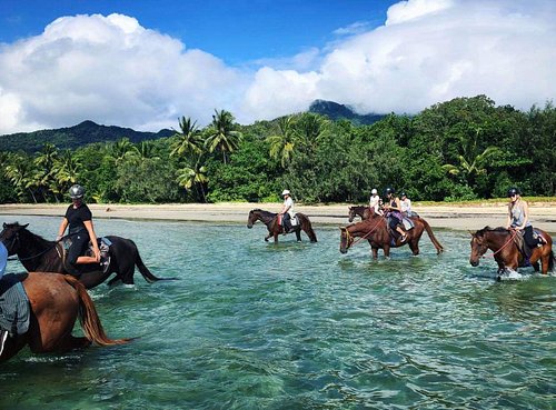 horse and riding on a beach in QLD