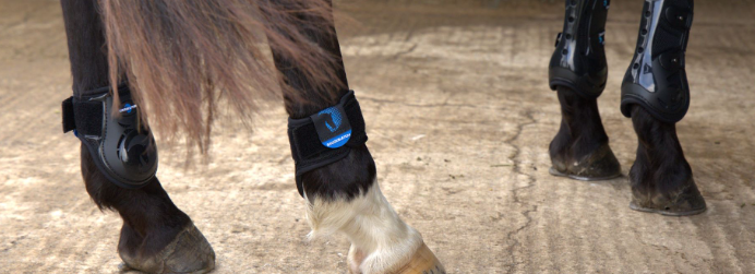 Understanding Windgalls In Horses - What Are They & Should You Be Concerned?