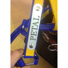 Horse Halter Nameplate