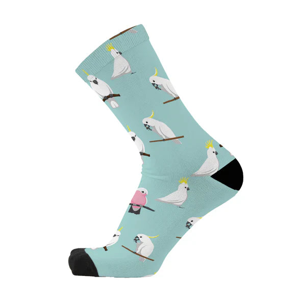Cocky Sox