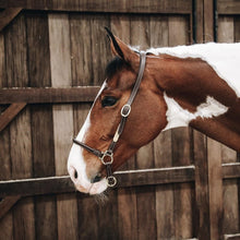 Kentucky Horsewear Leather Grooming Halter
