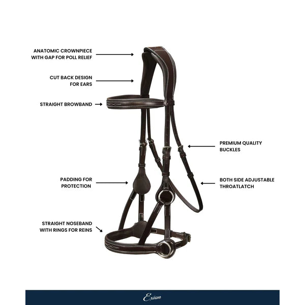 Astra Sidepull Bridle