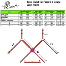 Fancy Stitch Traditional Grackle Bridle